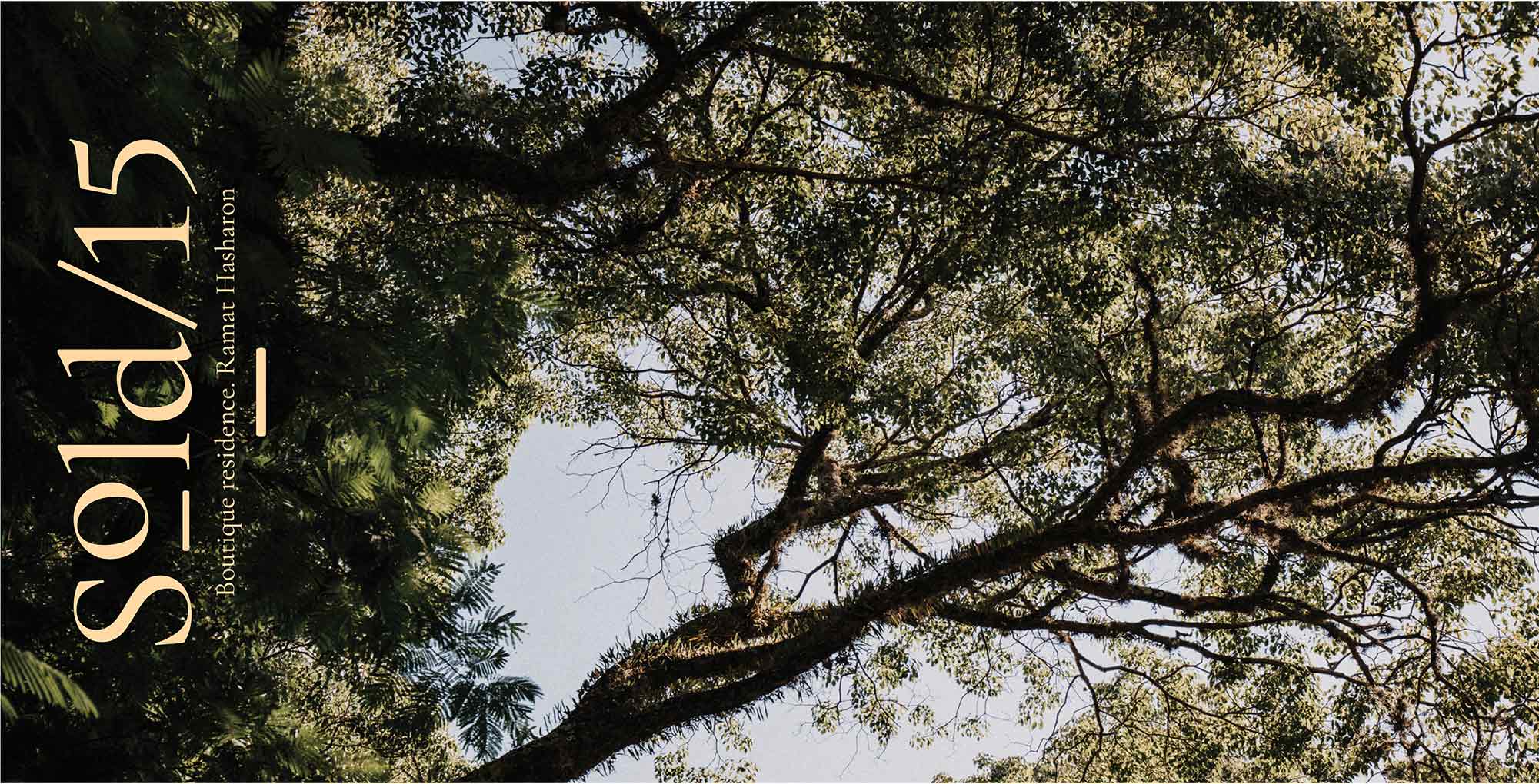 about main pic 2000x595